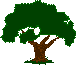 arbol